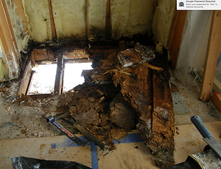 Rot Repair