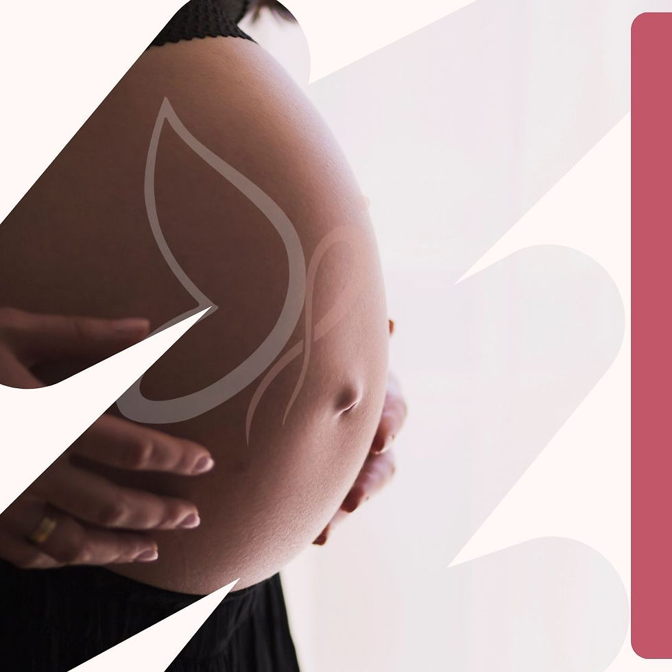 Qual a importância do ultrassom na investigação da sua fertilidade?