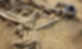 Skeleton.jpg