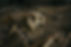 AdobeStock_443487859 (1).jpeg