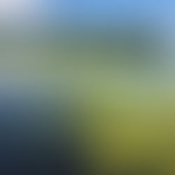 HATZIC LAKE INVASIVE PLANT PETITION COMING SOON...