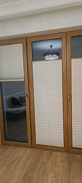 IMG-20250203-WA0006.jpg