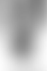 Where Did My Story Begin?