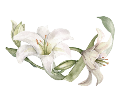 flor-3.png