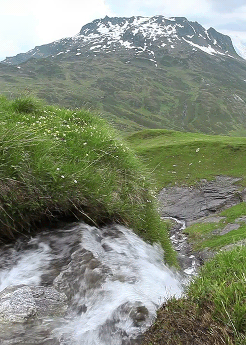 tumblr_mkatqfnmLC1r41223o1_500.gif