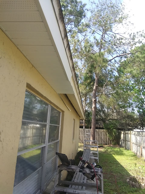 20210218_121746.jpg