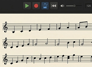 solfeggiatore automatico_edited.jpg