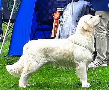 20240527_121327 (002) - stående_edited_edited.jpg