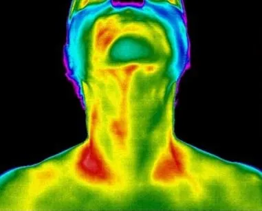 Thyroid-1920w.webp