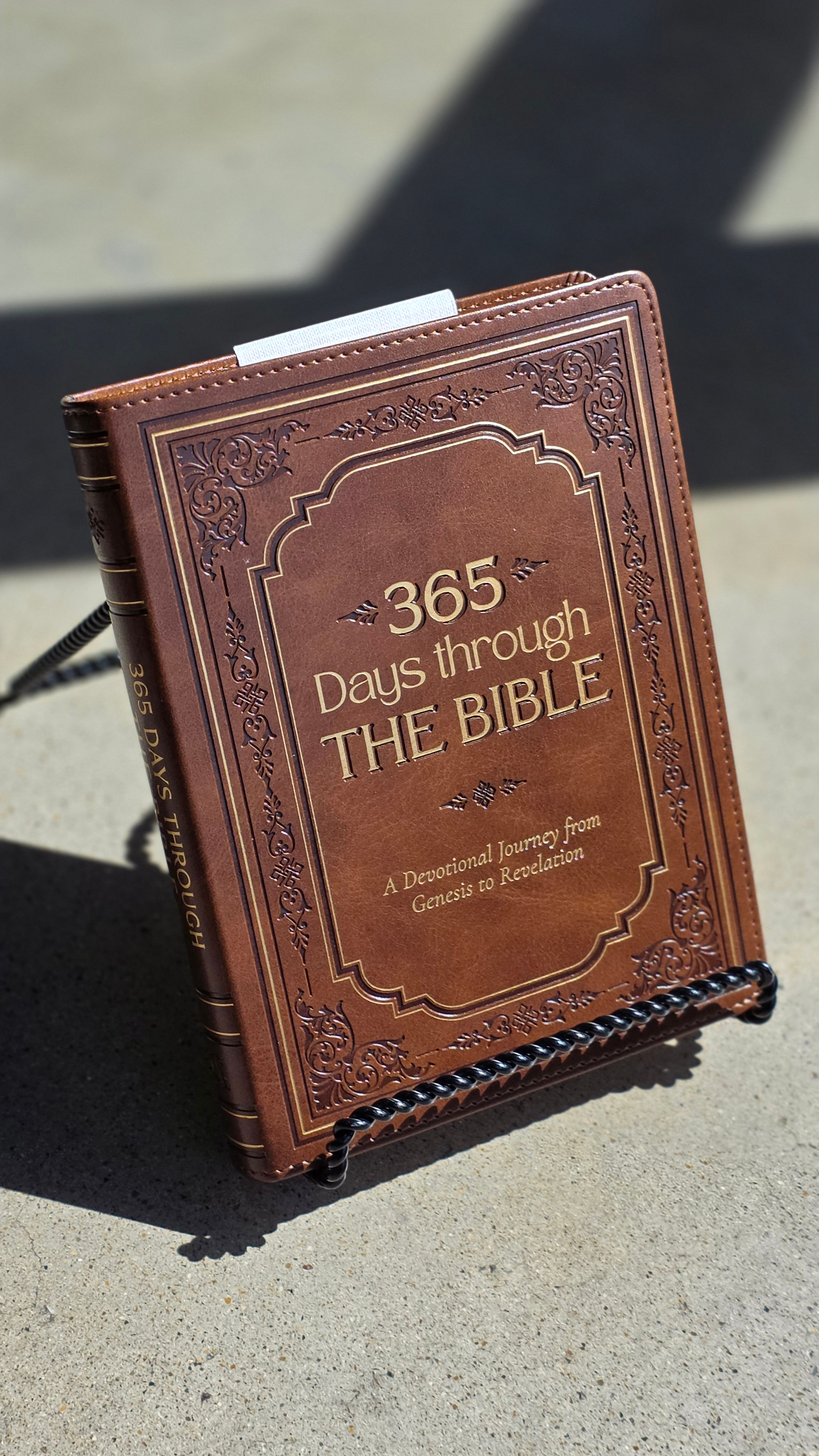 365 Days through The Bible