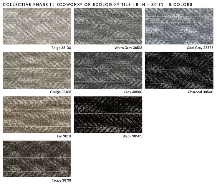 Shaw Collective Colorways.jpg
