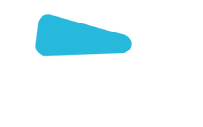 fanion