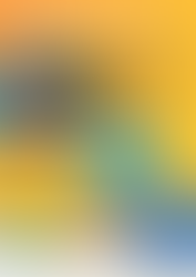 NON AUX MÉGOTS – Collecter pour protéger