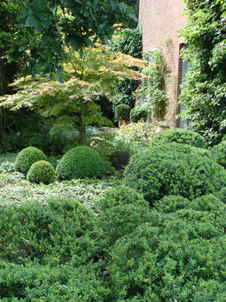 Ontwerp en aanleg stadstuin