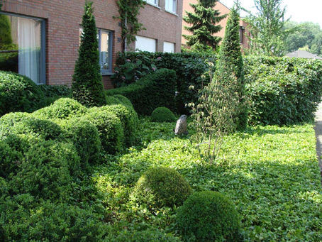 Ontwerp en aanleg stadstuin