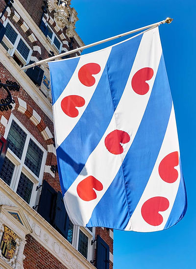 Friese vlag