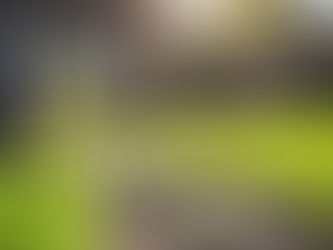 Najaarsonderhoud van je tuin