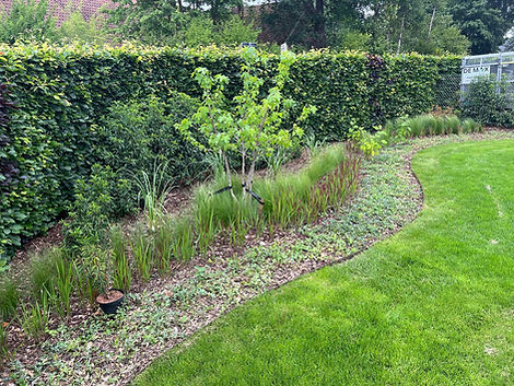 Tuinaanleg - planten