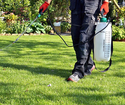 Gazon besproeien met pesticide