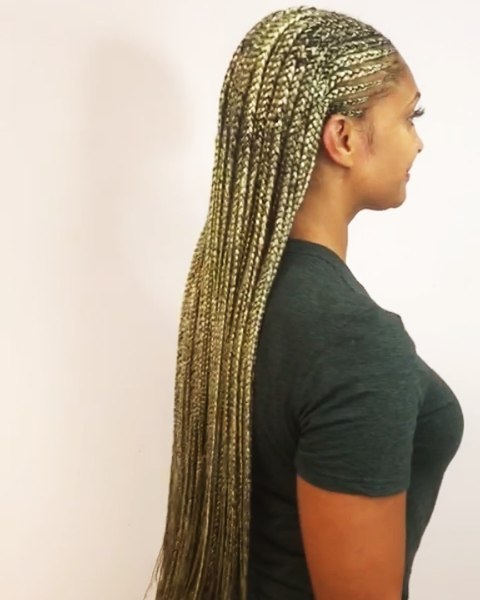 Fulani Braids