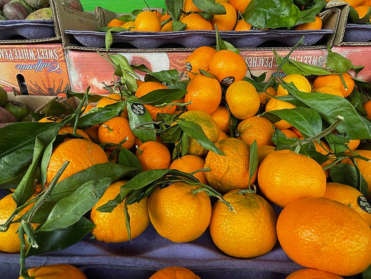 Satsumas displayed outside at a market.