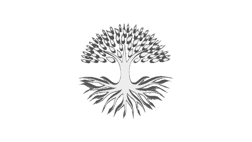 ImageToStl.com_transparent+ohne+schrift (3).gif