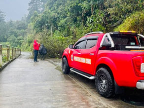 PC DE CHIGNAUTLA ATIENDE LLAMADO POR DESGAJAMIENTO DE ÁRBOL