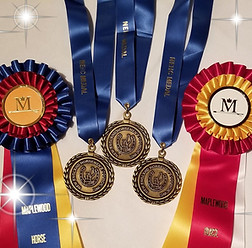 mwf horse show ribbons and medals
