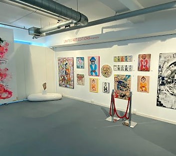 Nicoleta Gallery 01.png