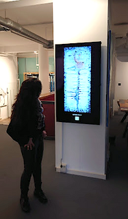 Nicoleta Gallery 02.png