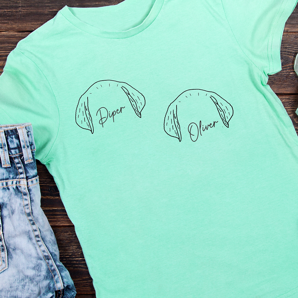 OTC-669 Labrador Puppy Ears