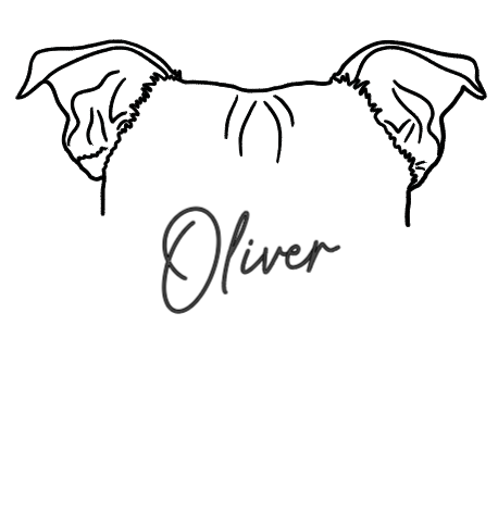 Thumbnail: OTC-664 Staffordshire Terrier Ears