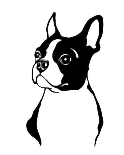 Thumbnail: OTC-161 Boston Terrier (head, #1)