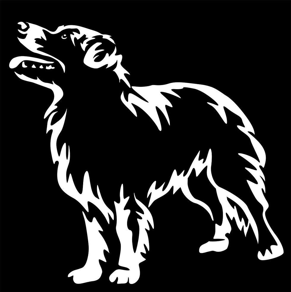 Thumbnail: OTC-537 Australian Shepherd