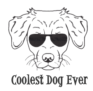 Thumbnail: OTC-228 Coolest Ever Nova Scotia Duck Toller