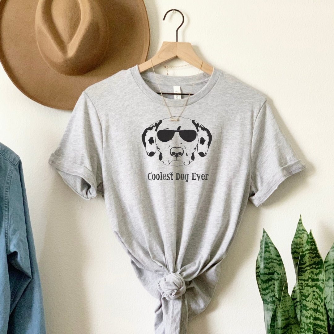 OTC-220 Coolest Ever Dalmation