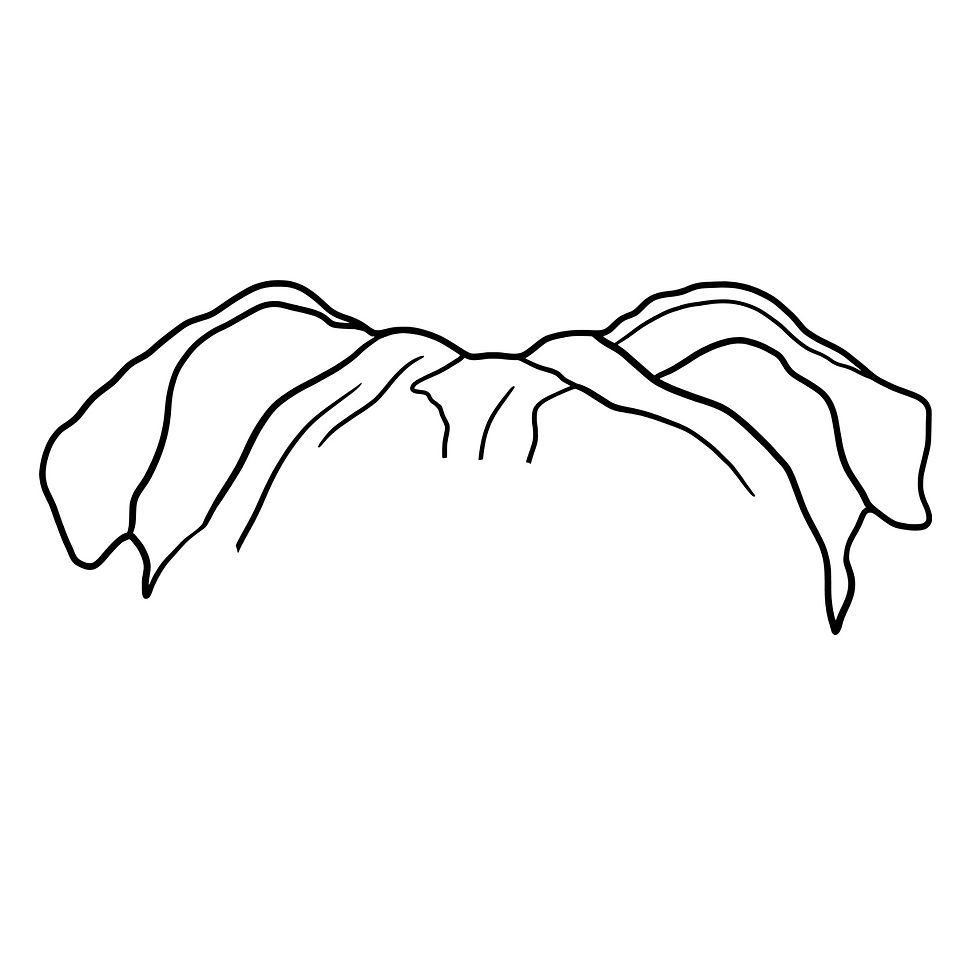 Thumbnail: OTC-685 Bulldog Ears
