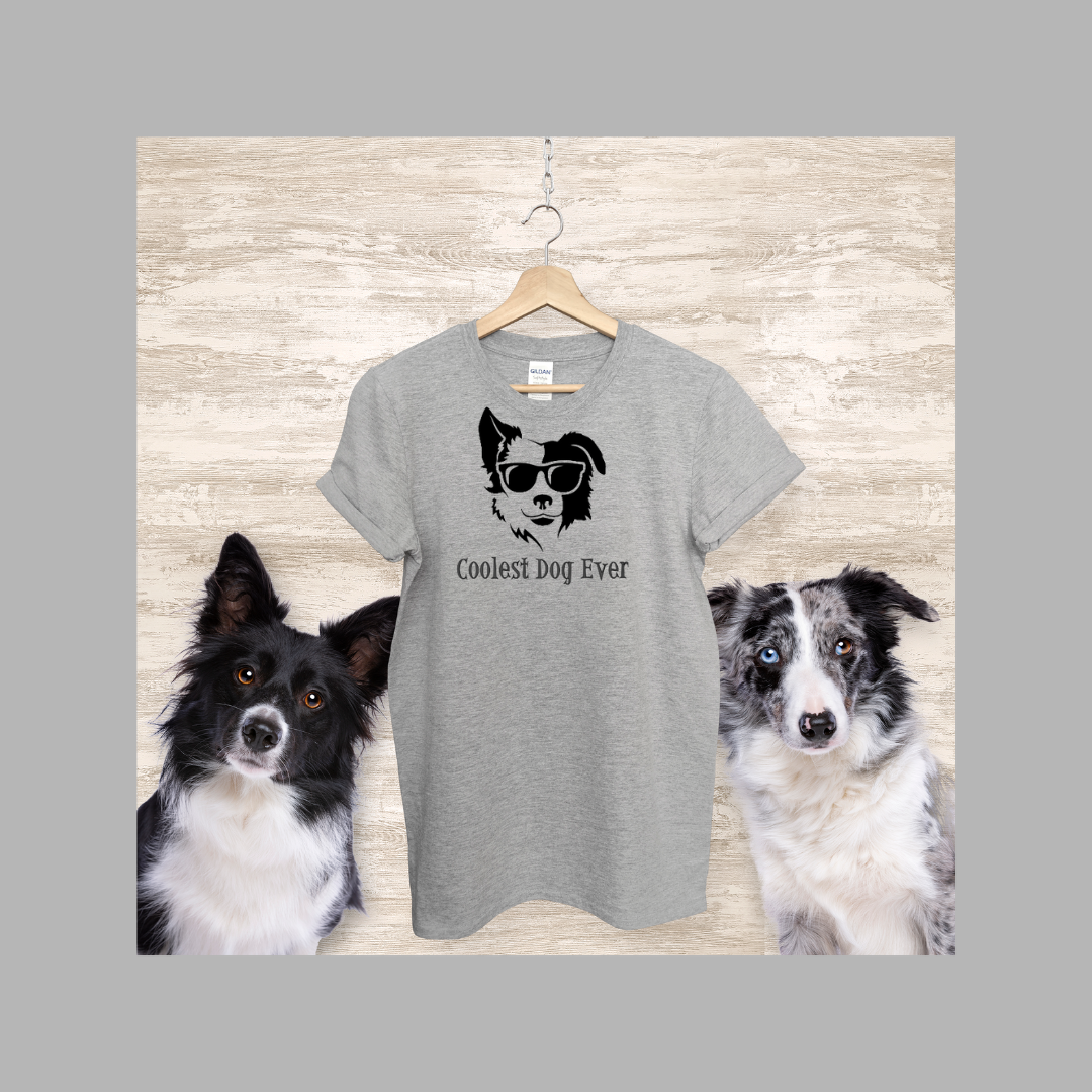 OTC-167 Coolest Ever Border Collie (split face)