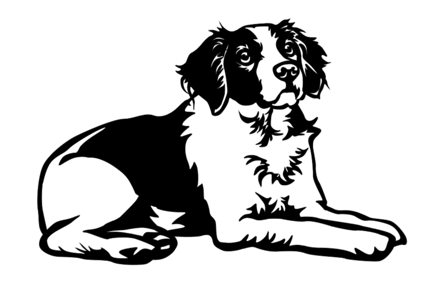 Thumbnail: OTC-441 Brittany Spaniel (lying down)