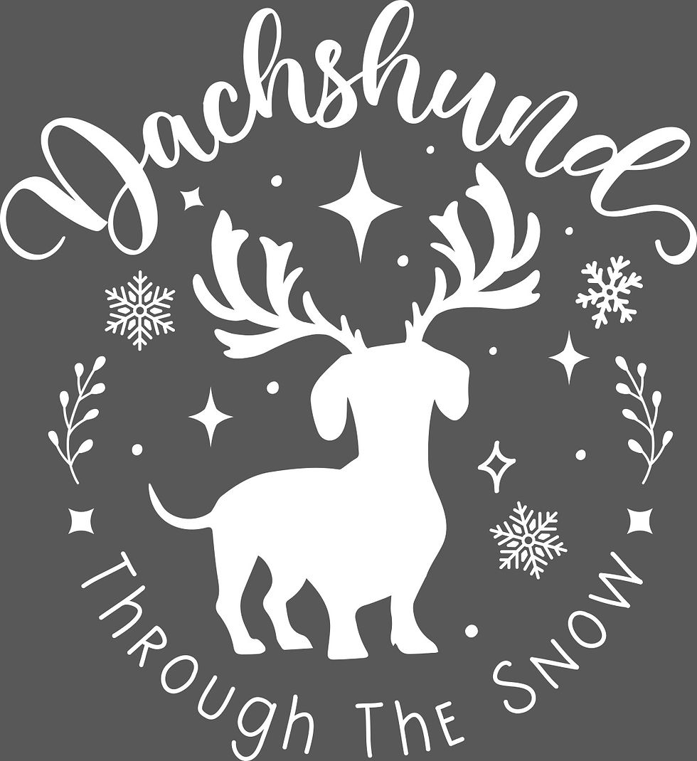 Thumbnail: OTC-566 Dachshund Through The Snow (white vinyl)