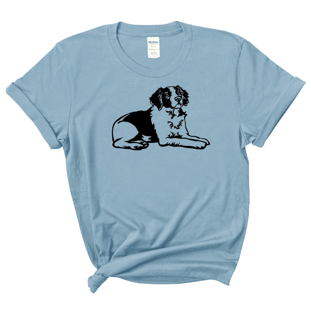 OTC-441 Brittany Spaniel (lying down)