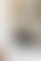 mwier_sb_1816sb_dtl04_v1_webres