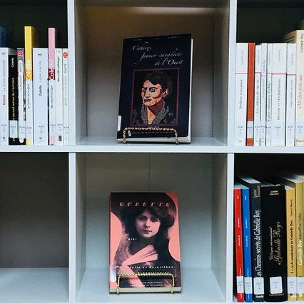 Photo biblio de prêt.jpg