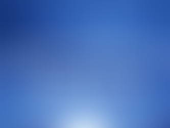 Business Law Series·Anonymous Companies