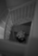 92B17E65-80E7-4EF1-BE6E-DD3516D5C197.jpeg
