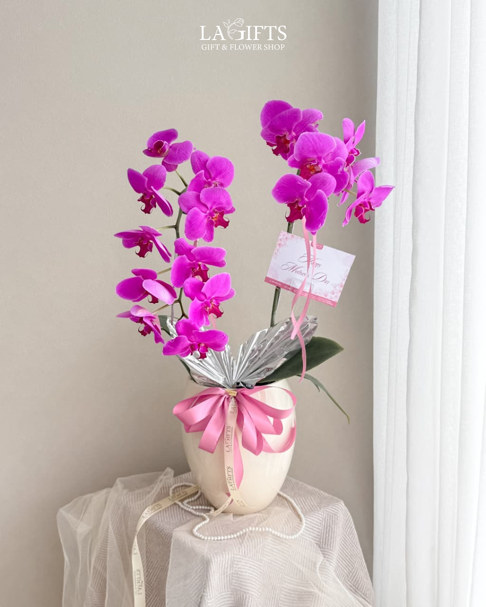 Double Fresh Orchid Arrangement