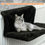 Miniatura: Cozy Portable Cat Hanging Hammock Bed