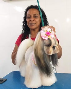 Treinamento de banho e tosa