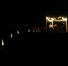 NV Lines-17.jpg