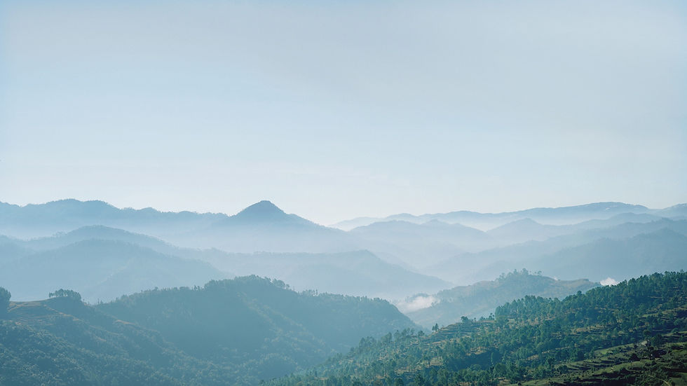 Anxiety Has No Place Here